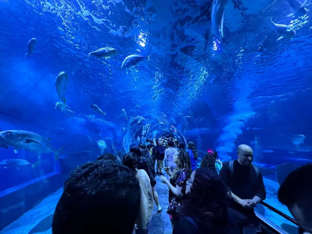 AquaRio