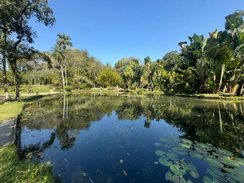 Jardim Botânico in Rio de Janeiro