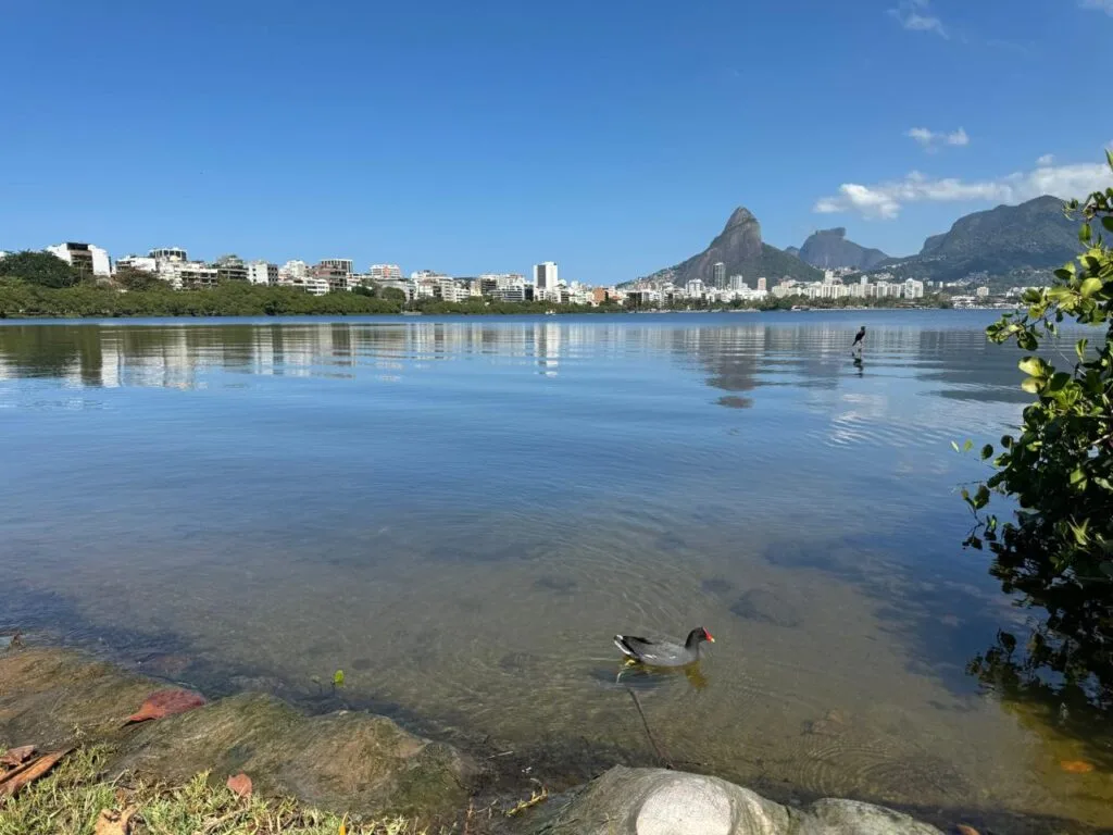Lagoa Rodrigo de Freitas