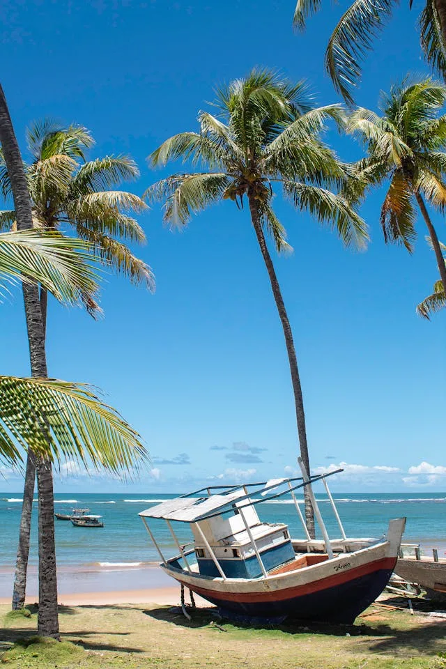 salvador-travel-guide Beach in Camaçari, Bahia
