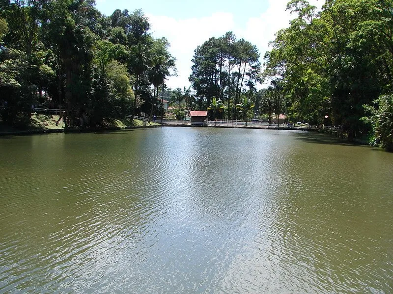 View of Horto Florestal Sao Paulo