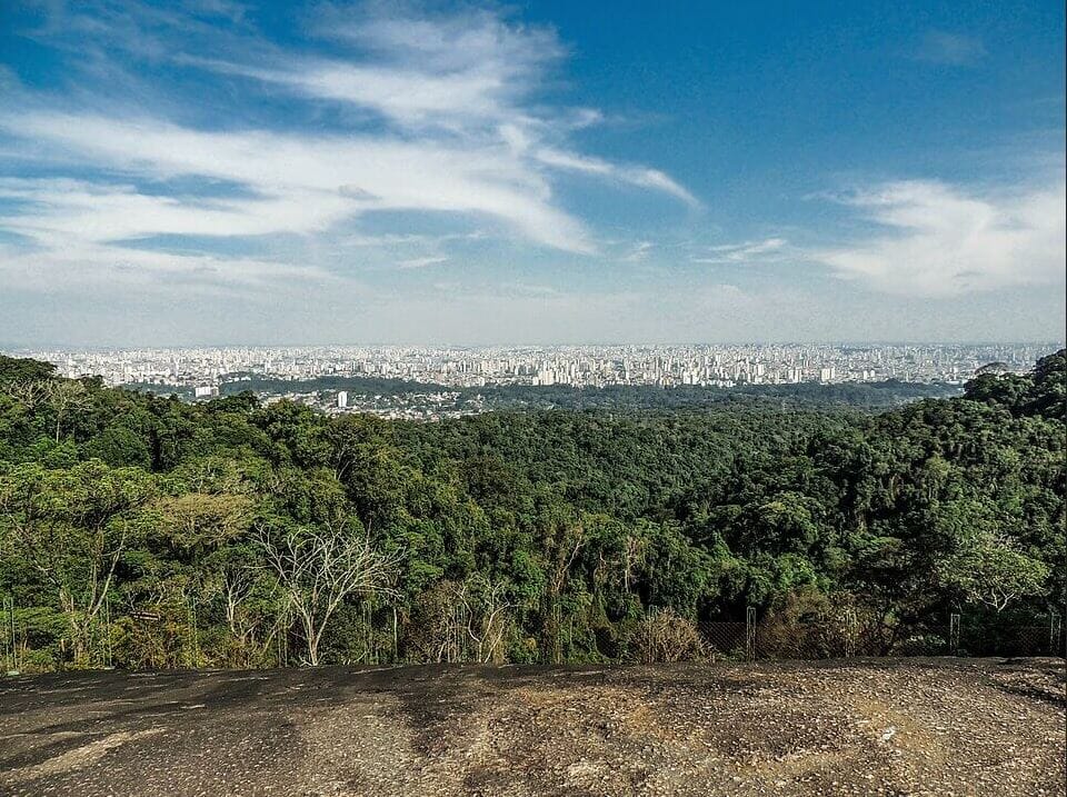View of Parque da Cantareira